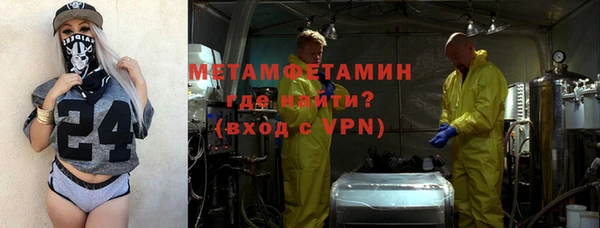 ПСИЛОЦИБИНОВЫЕ ГРИБЫ Дмитриев