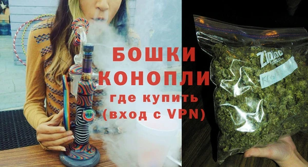 ПСИЛОЦИБИНОВЫЕ ГРИБЫ Дмитриев