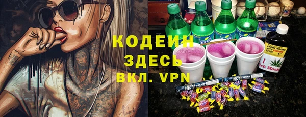 ПСИЛОЦИБИНОВЫЕ ГРИБЫ Дмитриев