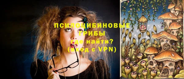стафф Дмитров