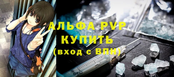ПСИЛОЦИБИНОВЫЕ ГРИБЫ Дмитриев