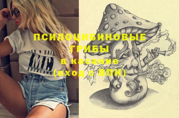 ПСИЛОЦИБИНОВЫЕ ГРИБЫ Дмитриев