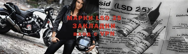 ПСИЛОЦИБИНОВЫЕ ГРИБЫ Дмитриев