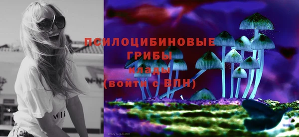 ПСИЛОЦИБИНОВЫЕ ГРИБЫ Дмитриев