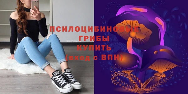 ПСИЛОЦИБИНОВЫЕ ГРИБЫ Дмитриев
