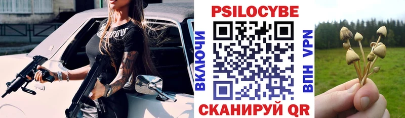 Купить закладки  Тогучин  Галлюциногенные грибы Psilocybine cubensis 